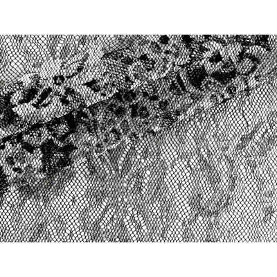 IMAGE_L