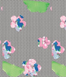 IMAGE_T