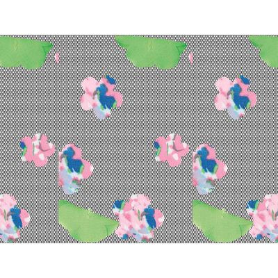 IMAGE_L