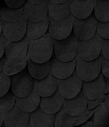 IMAGE_T