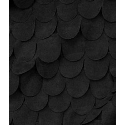 IMAGE_T