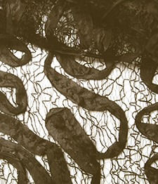 IMAGE_T