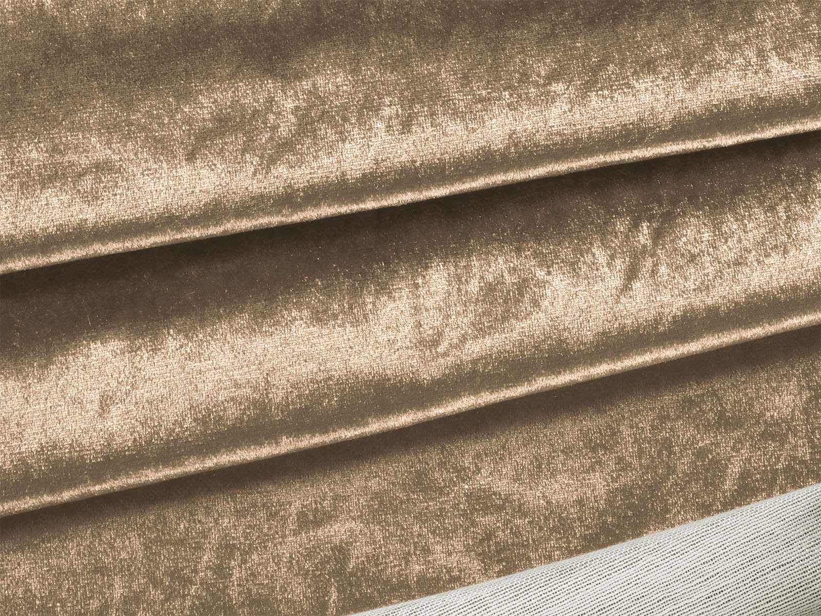 IMAGE_L