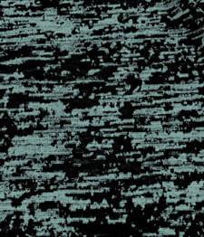 IMAGE_T