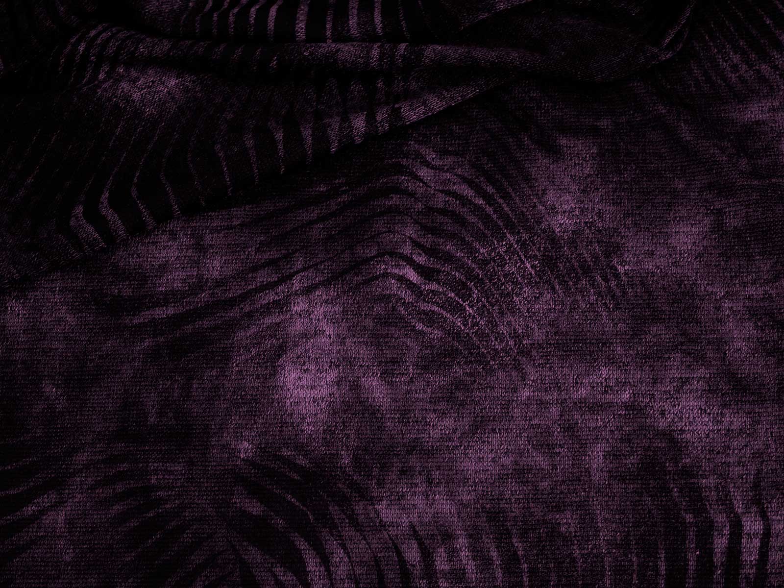 IMAGE_L