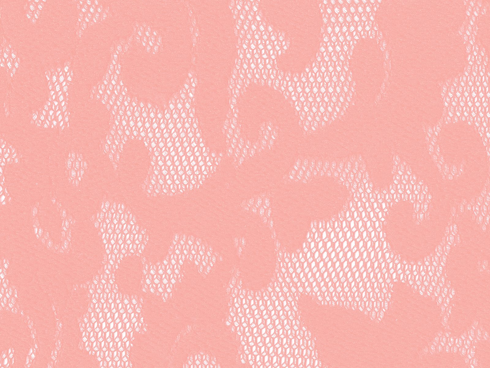 IMAGE_L