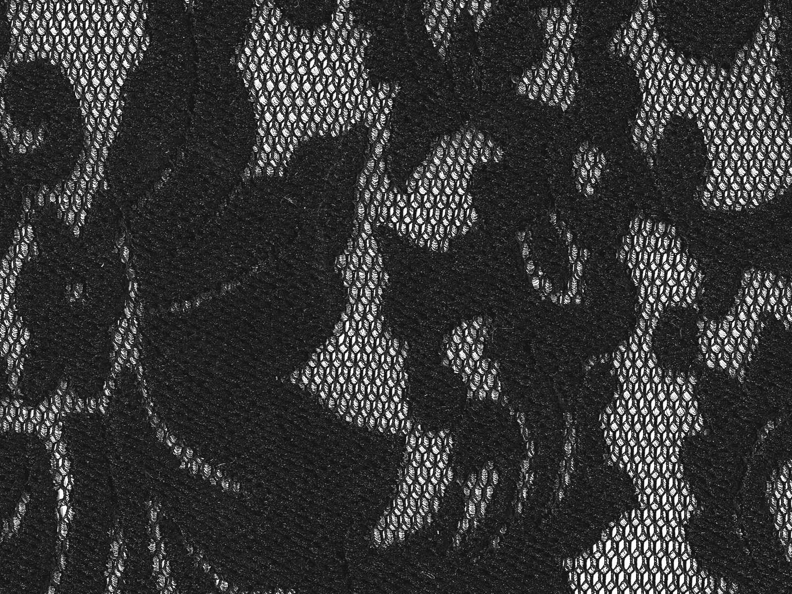 IMAGE_L