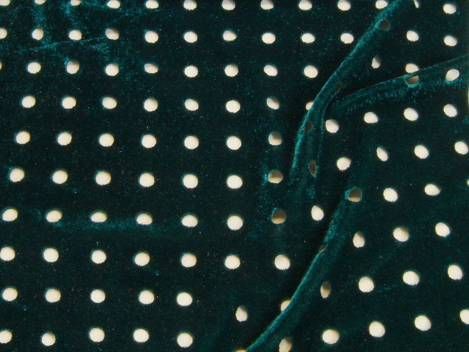 IMAGE_L