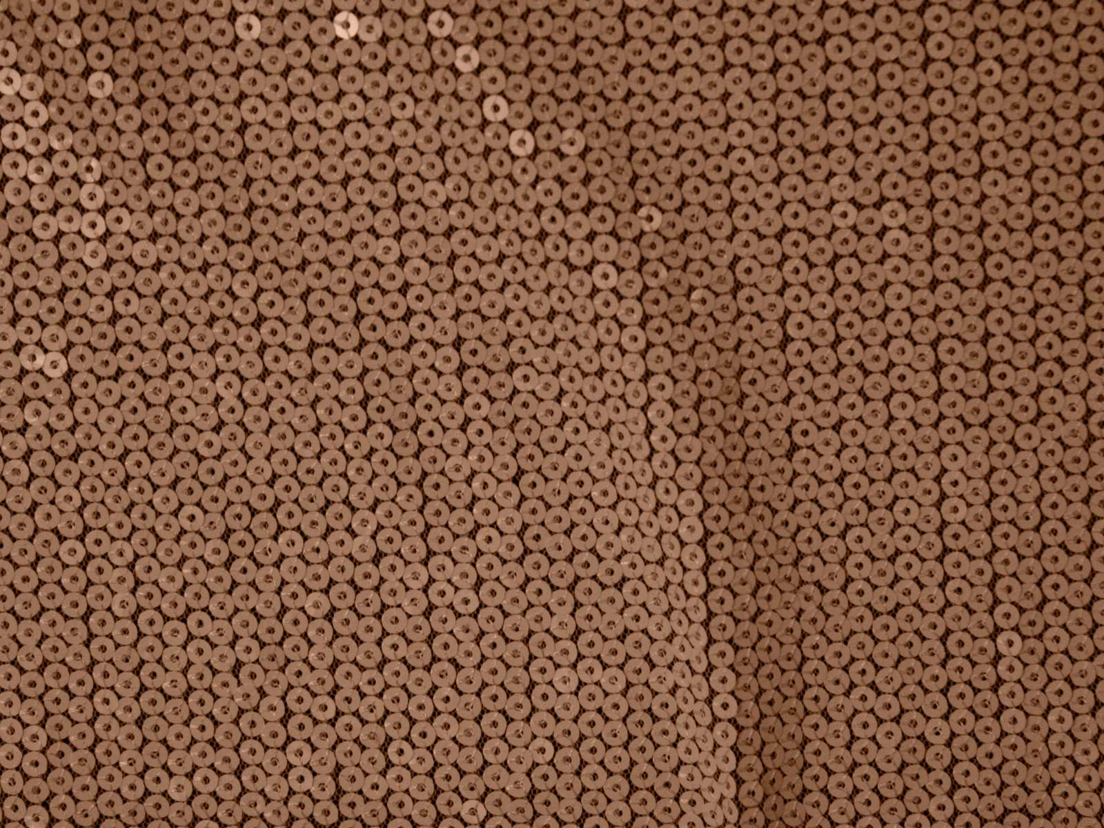 IMAGE_L
