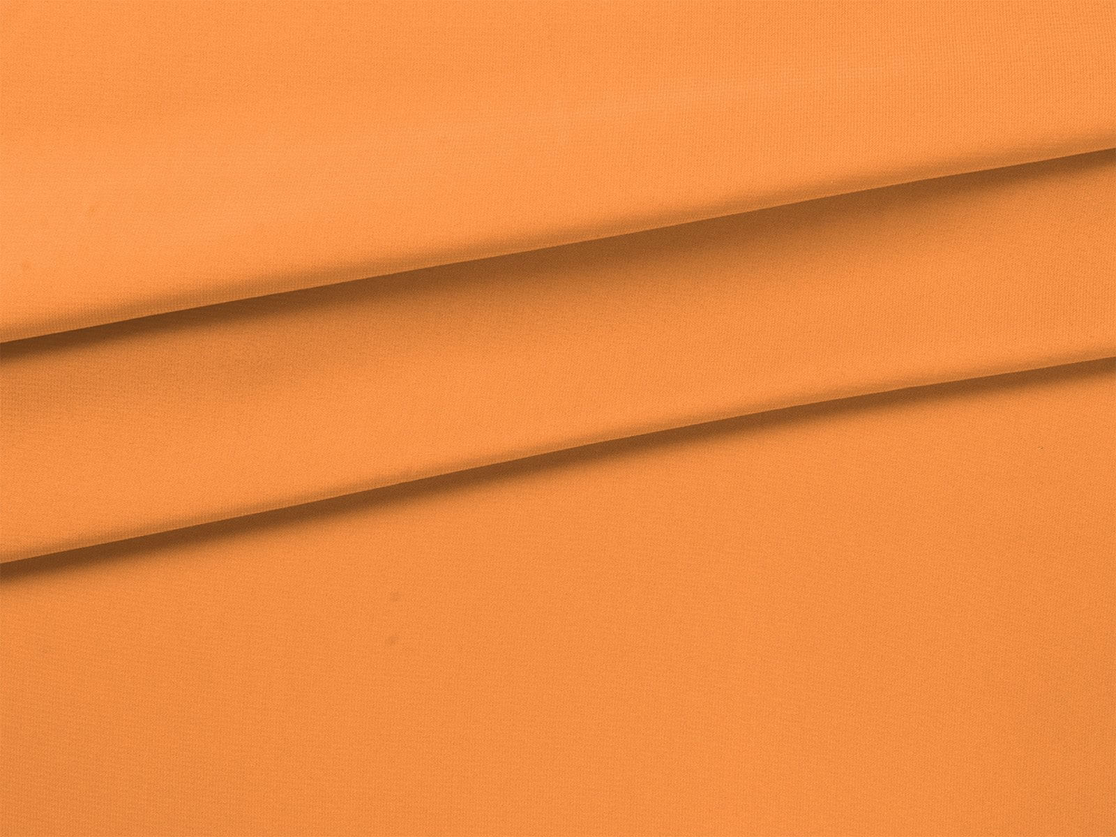IMAGE_L