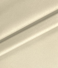 IMAGE_T