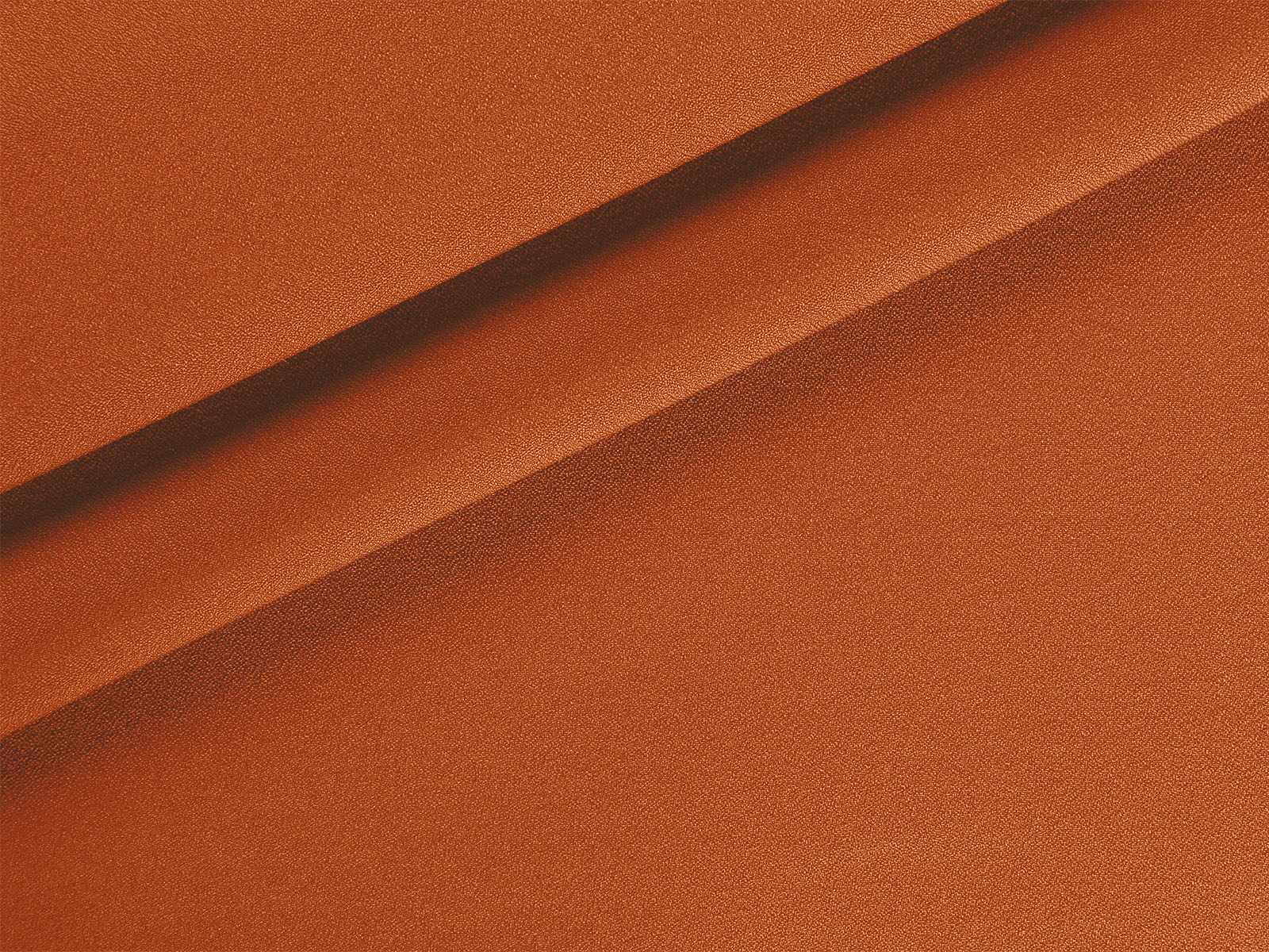 IMAGE_L