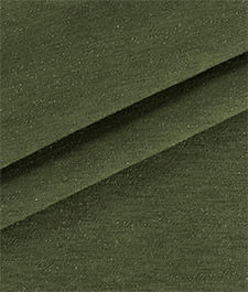 IMAGE_T