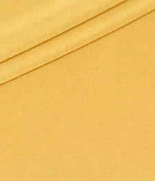 IMAGE_T