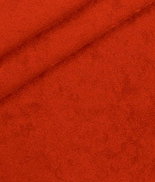 IMAGE_T