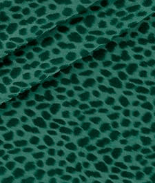 IMAGE_T