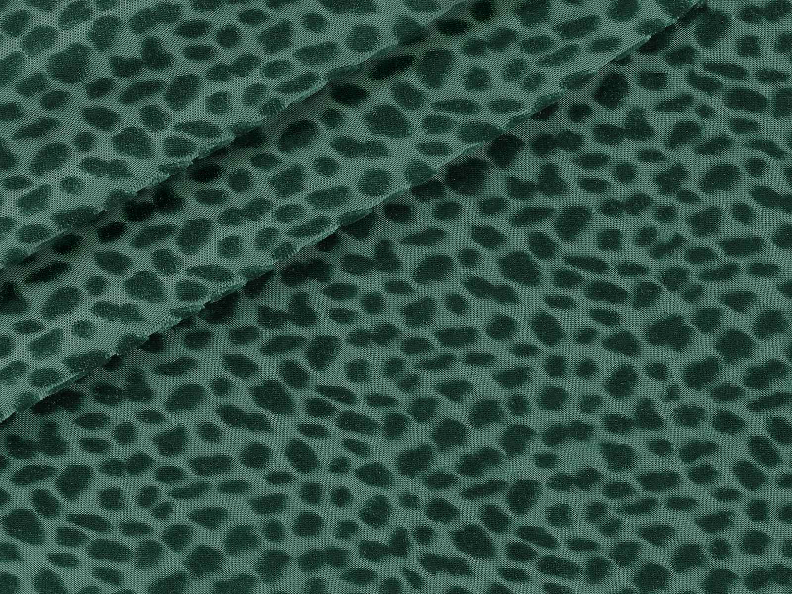 IMAGE_L
