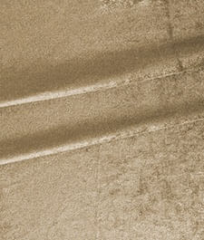 IMAGE_T