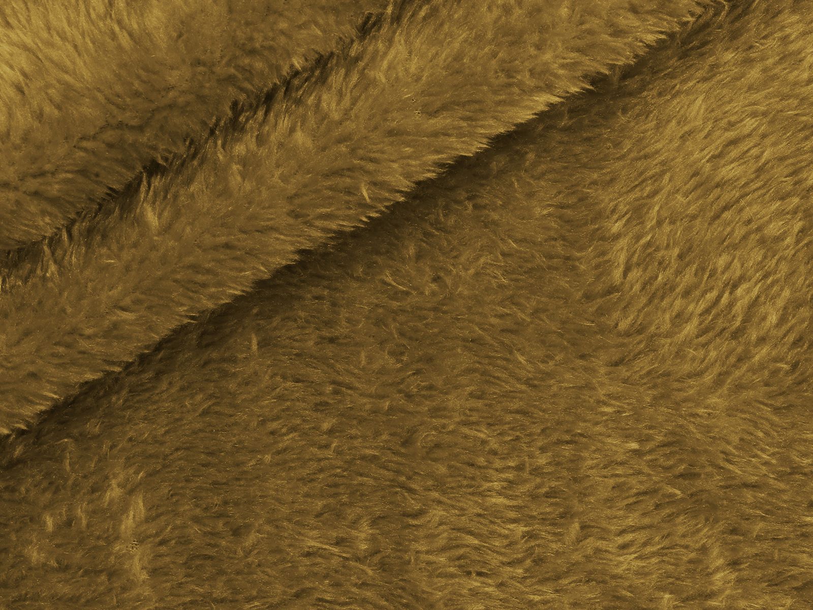 IMAGE_L