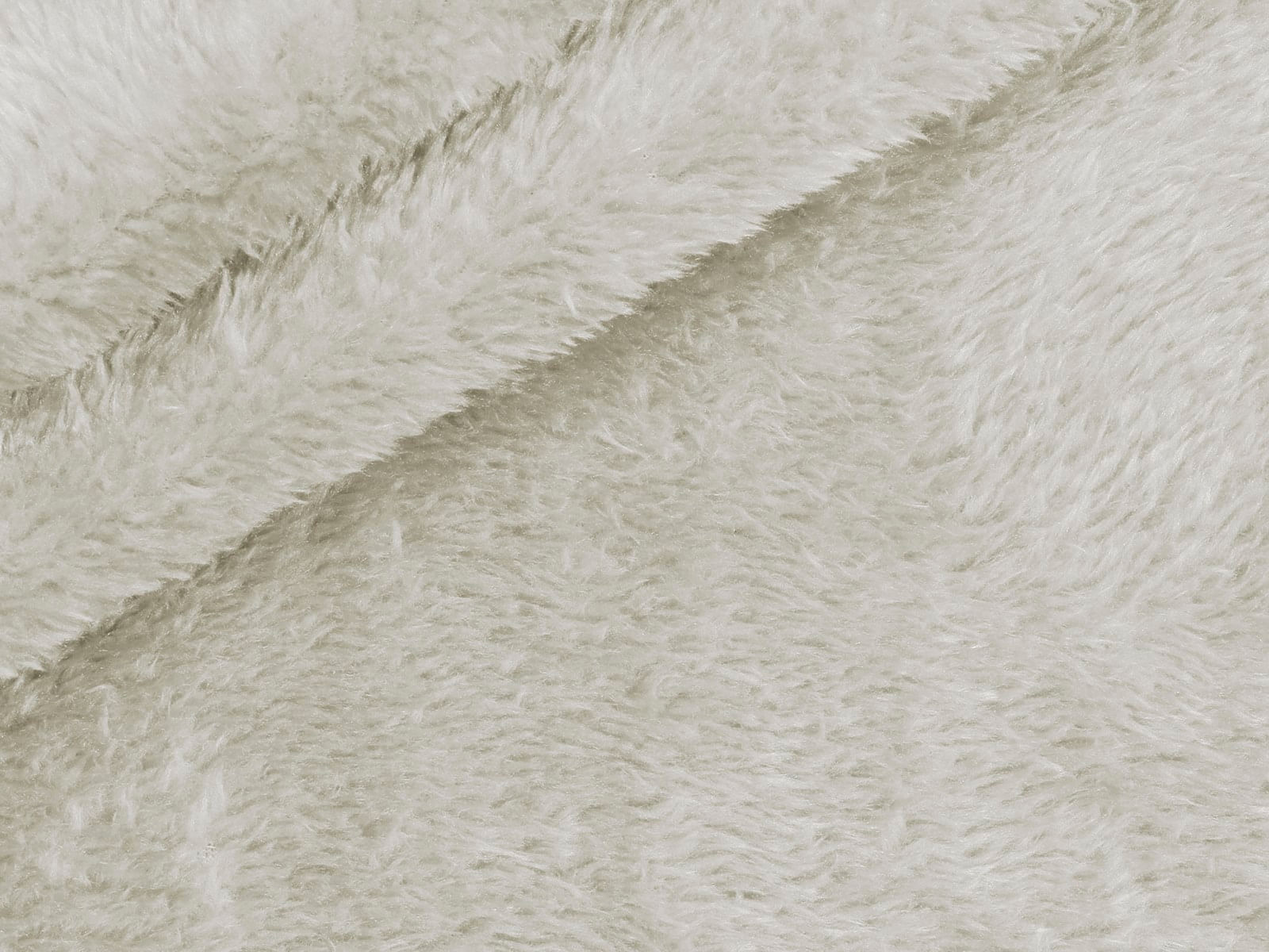 IMAGE_L