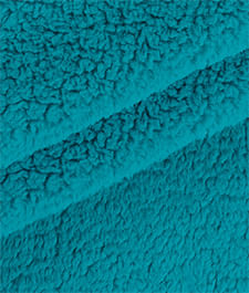 IMAGE_T