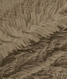 IMAGE_T