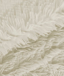 IMAGE_T