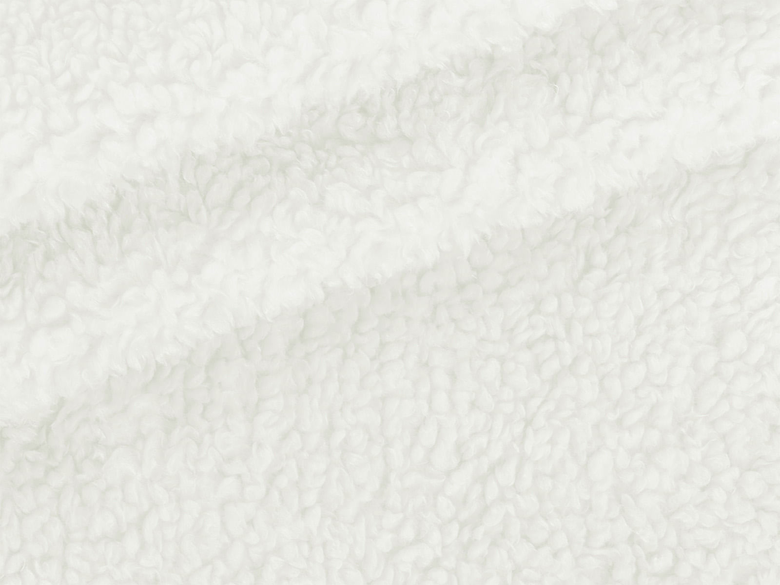 IMAGE_L