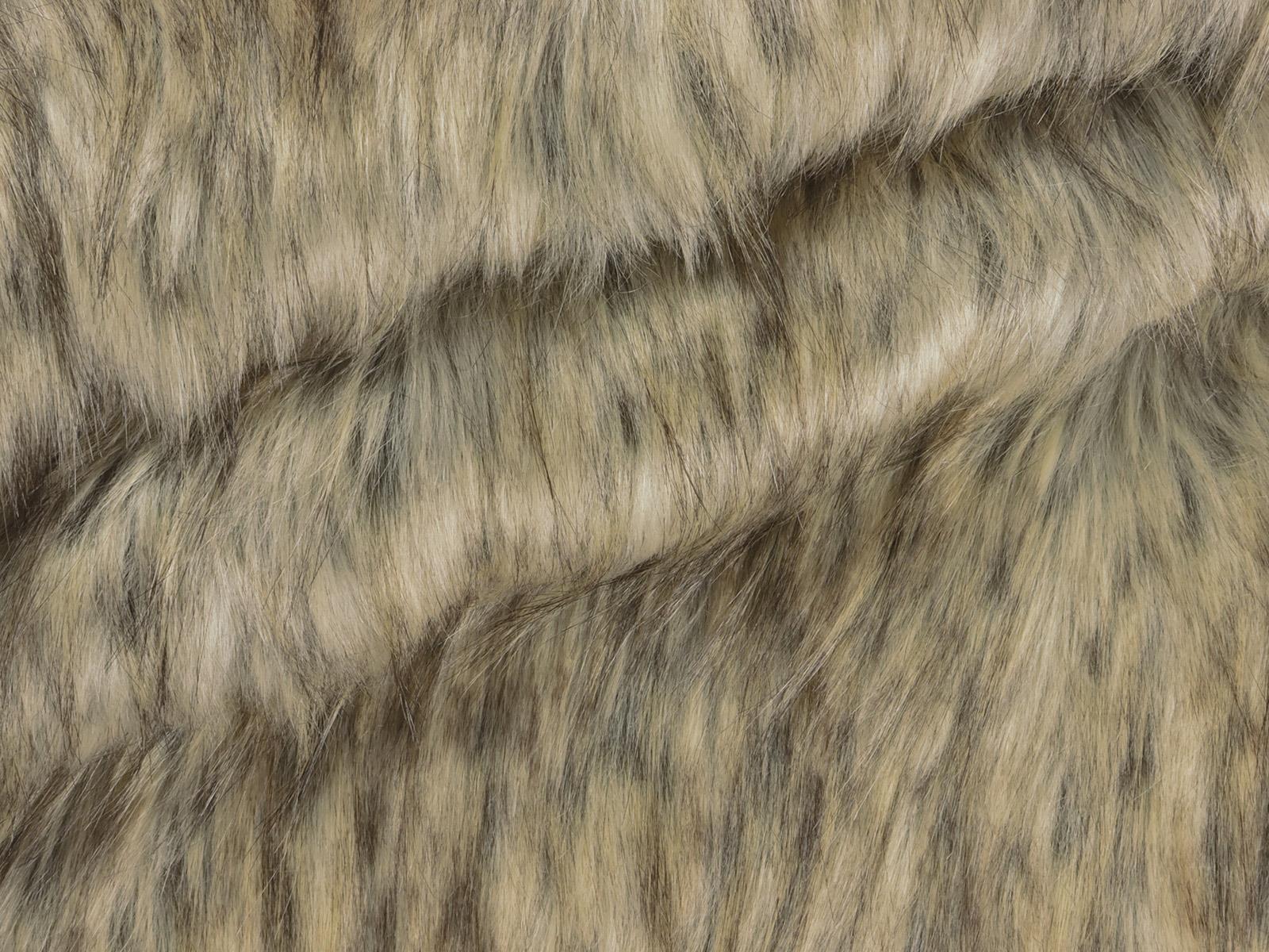 IMAGE_L