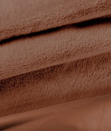 IMAGE_T