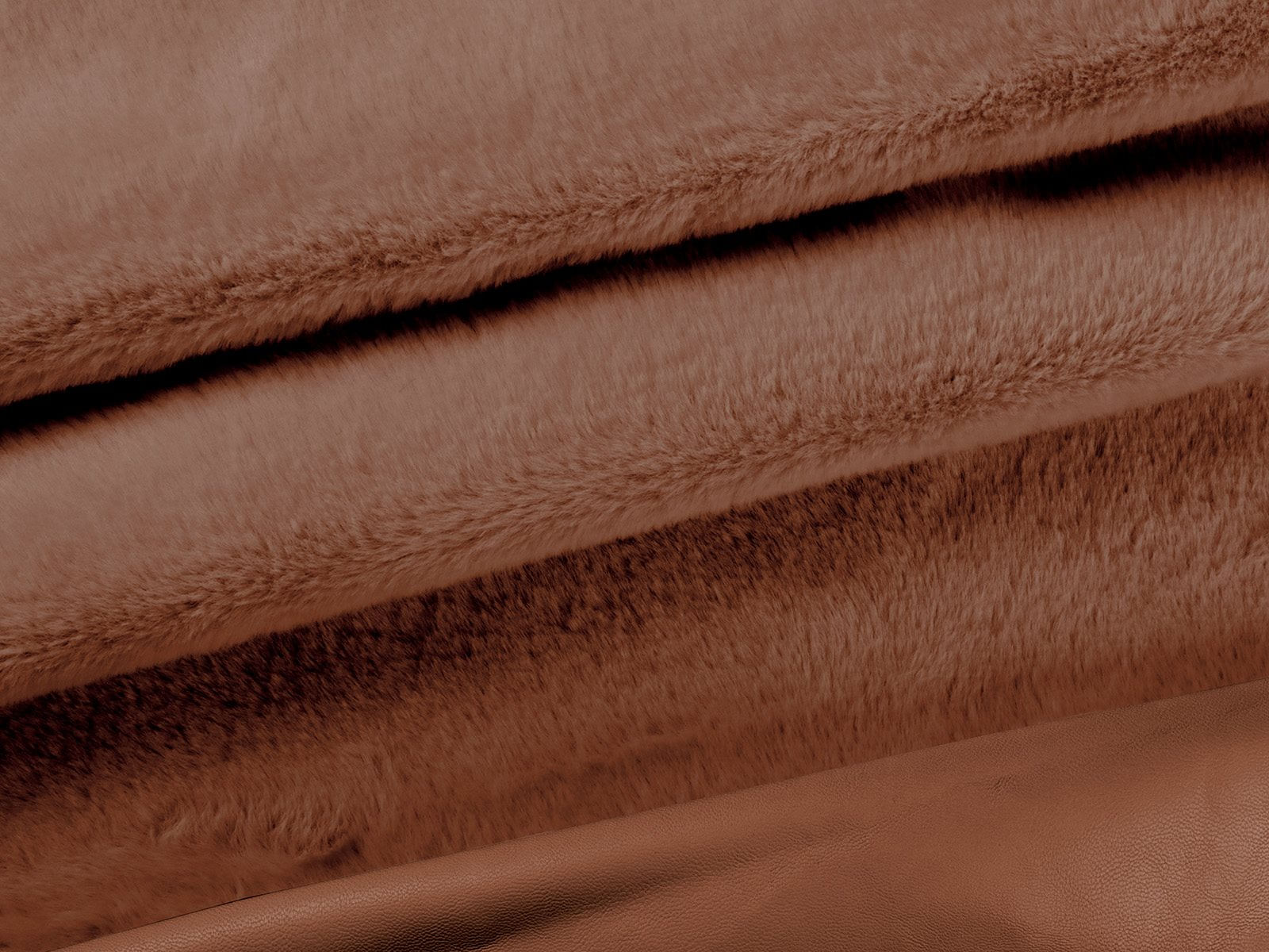 IMAGE_L