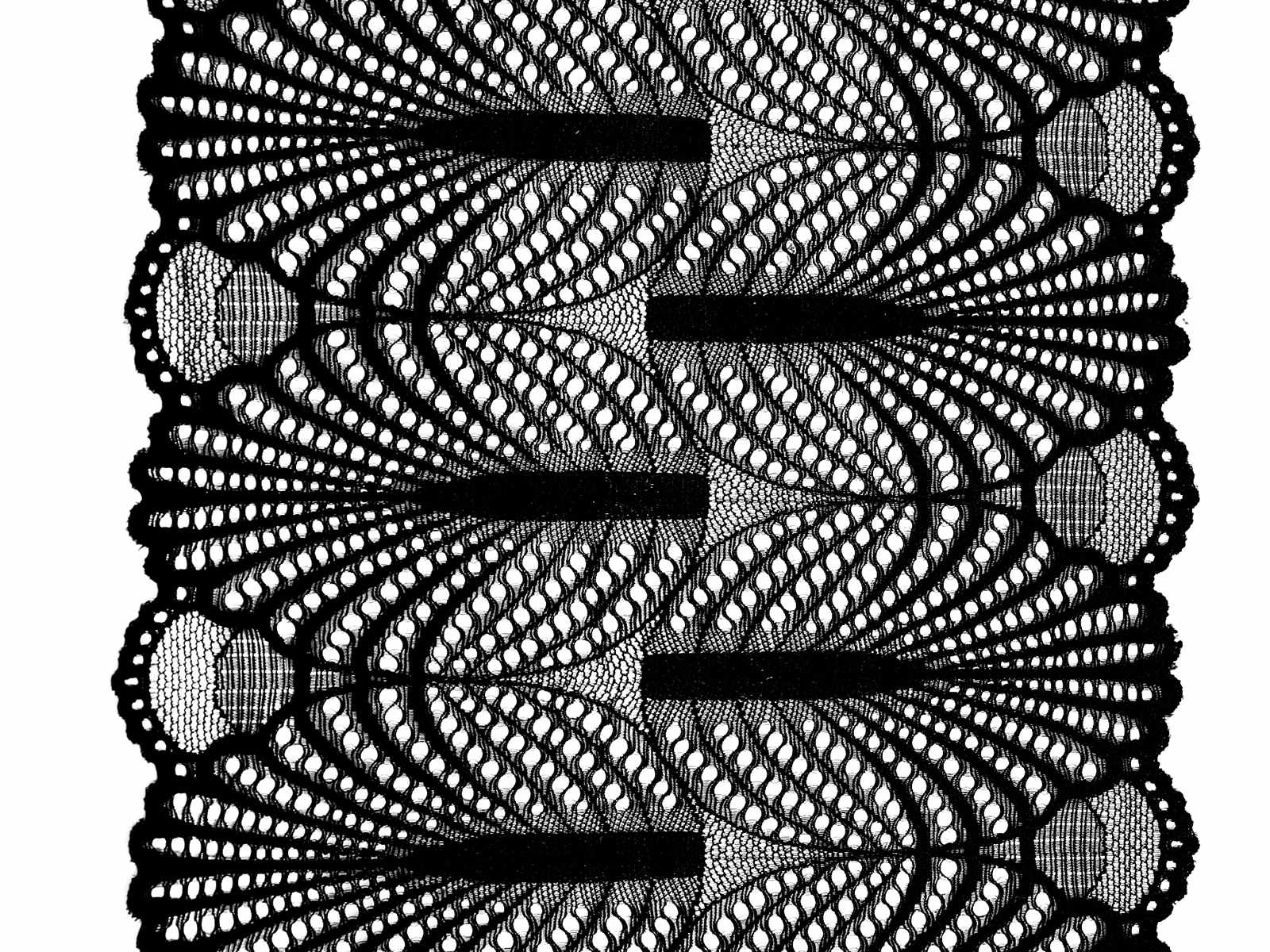 IMAGE_L