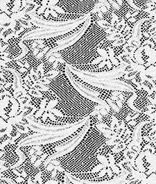IMAGE_T