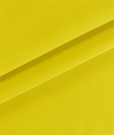 IMAGE_T
