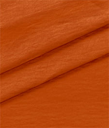 IMAGE_T