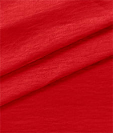 IMAGE_T