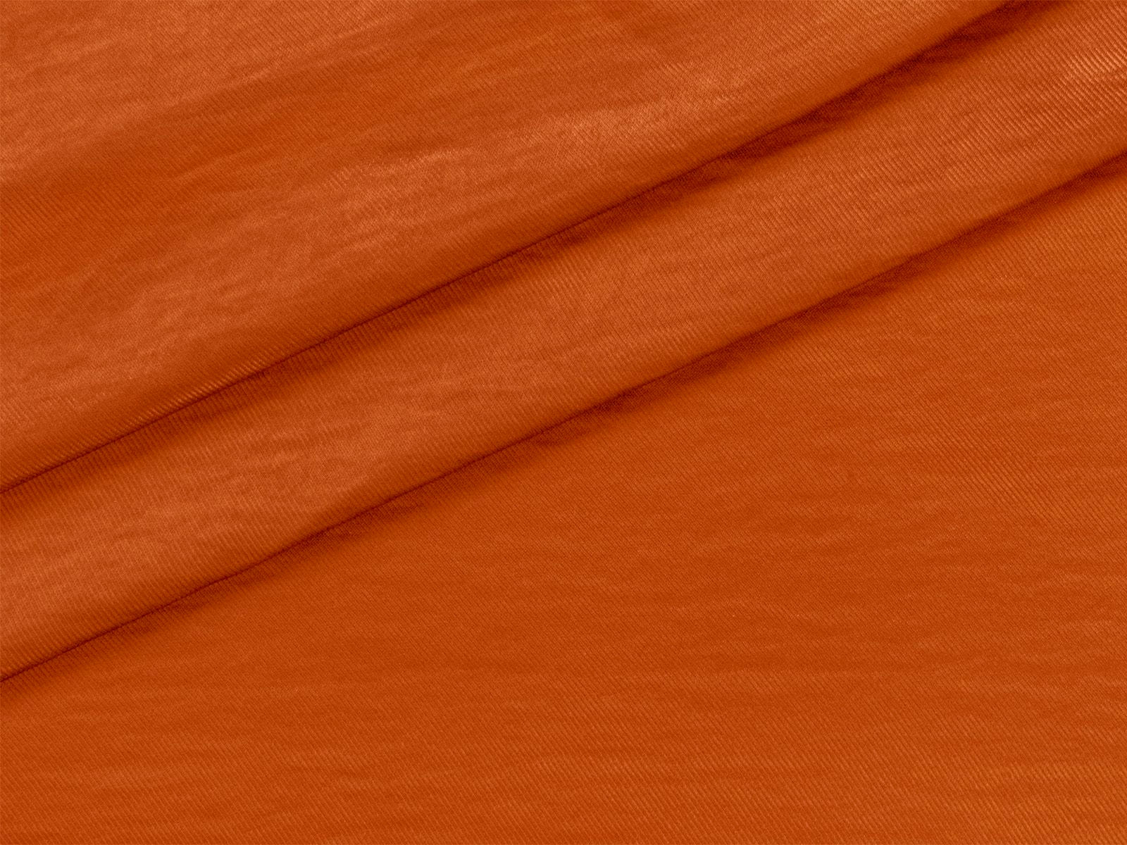 IMAGE_L