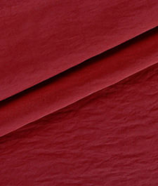 IMAGE_T