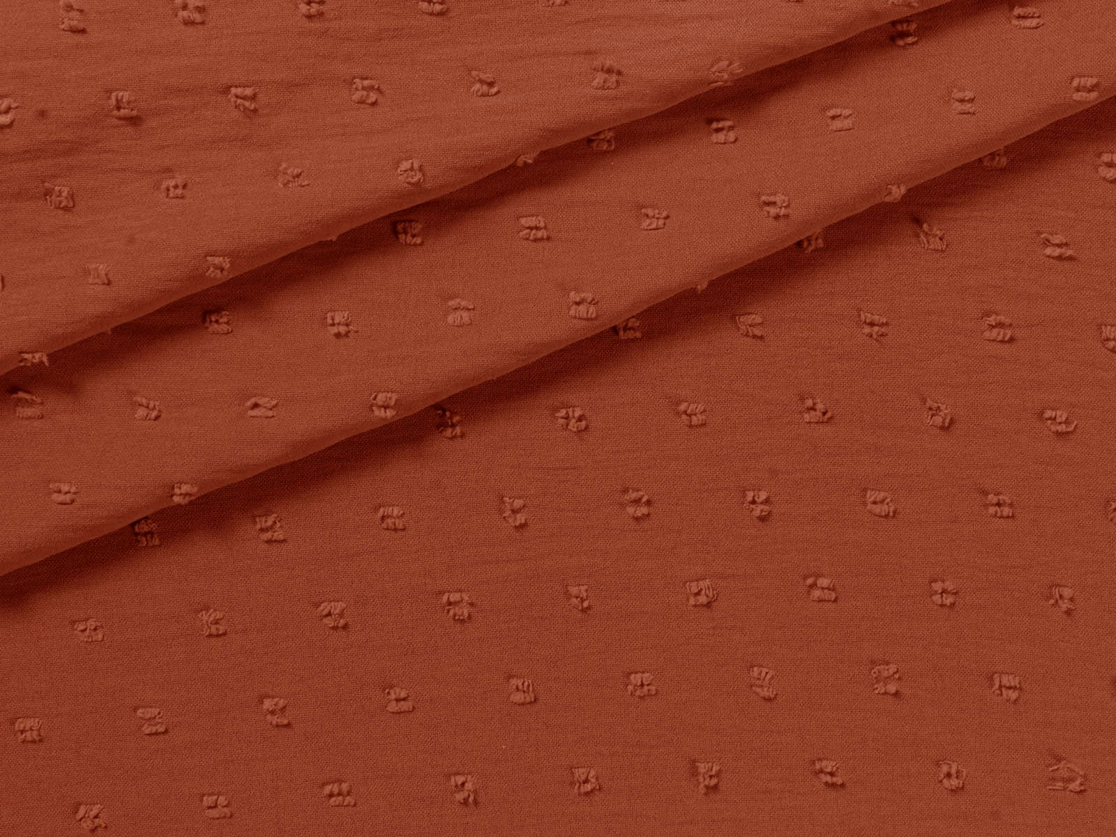 IMAGE_L