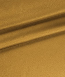 IMAGE_T