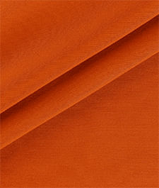 IMAGE_T