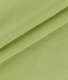 IMAGE_T