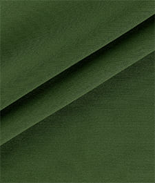 IMAGE_T