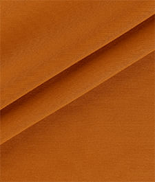 IMAGE_T