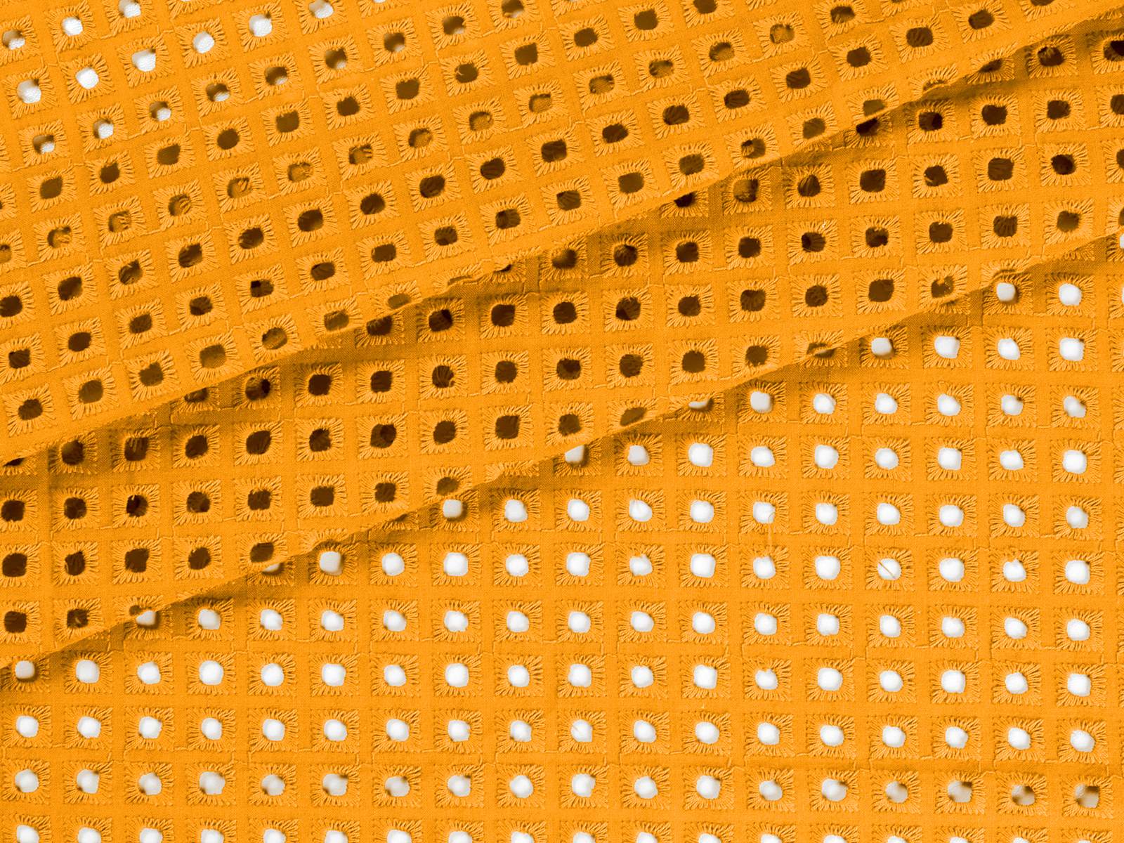 IMAGE_L