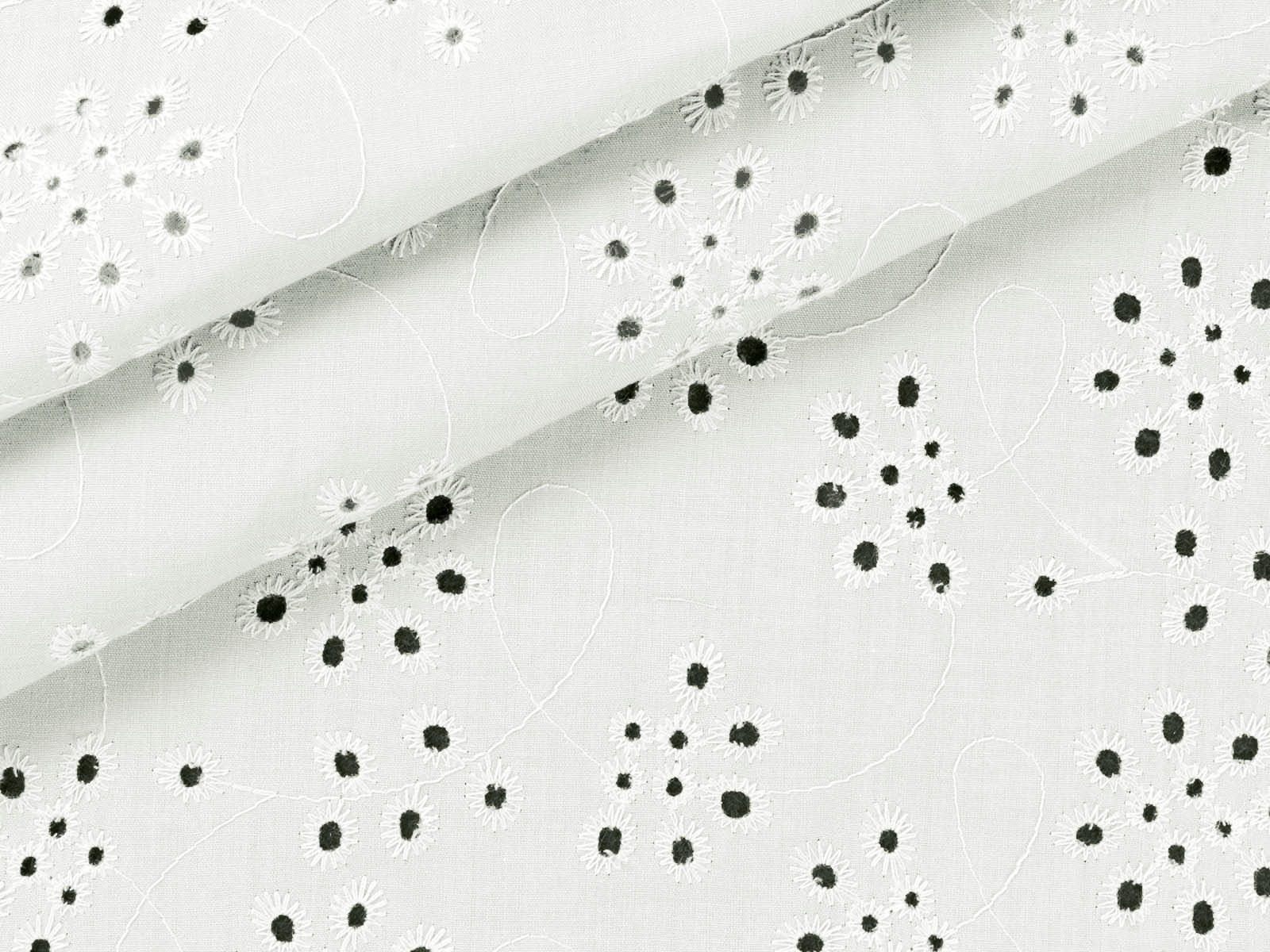IMAGE_L
