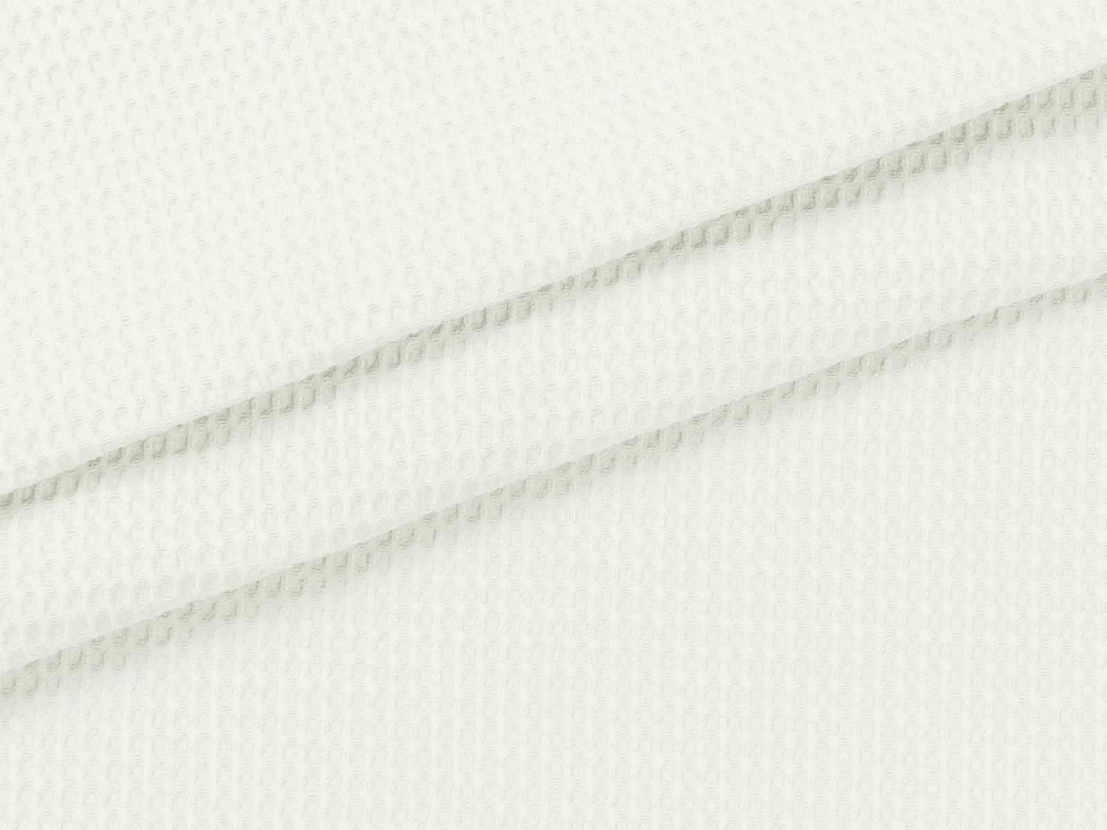IMAGE_L