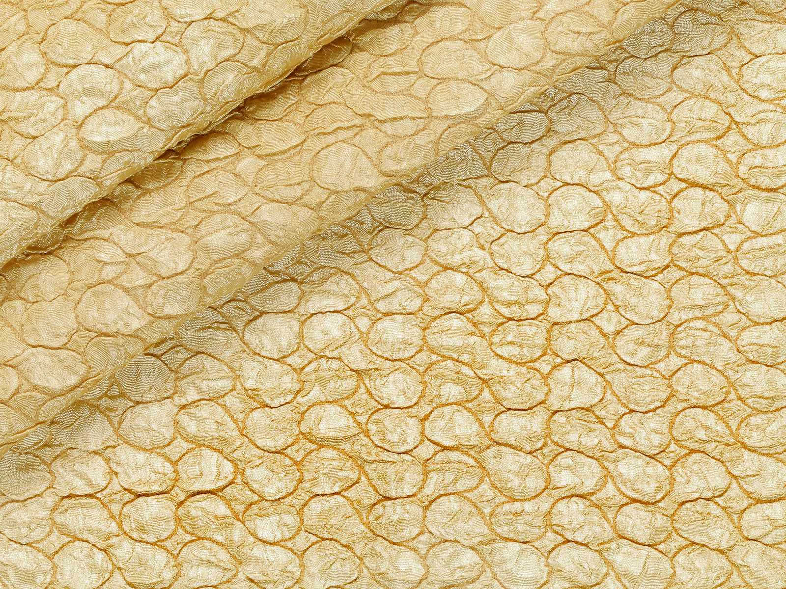 IMAGE_L
