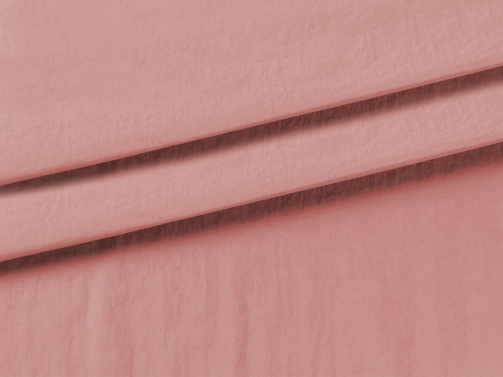 IMAGE_L