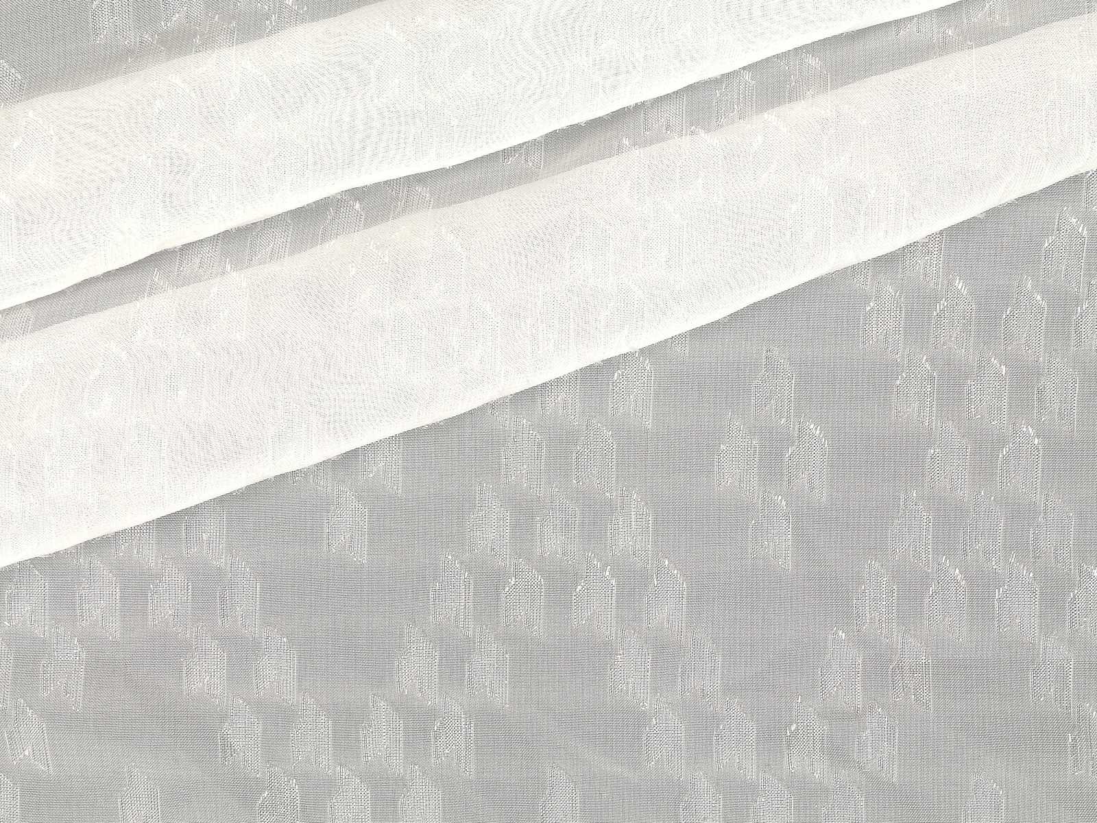 IMAGE_L